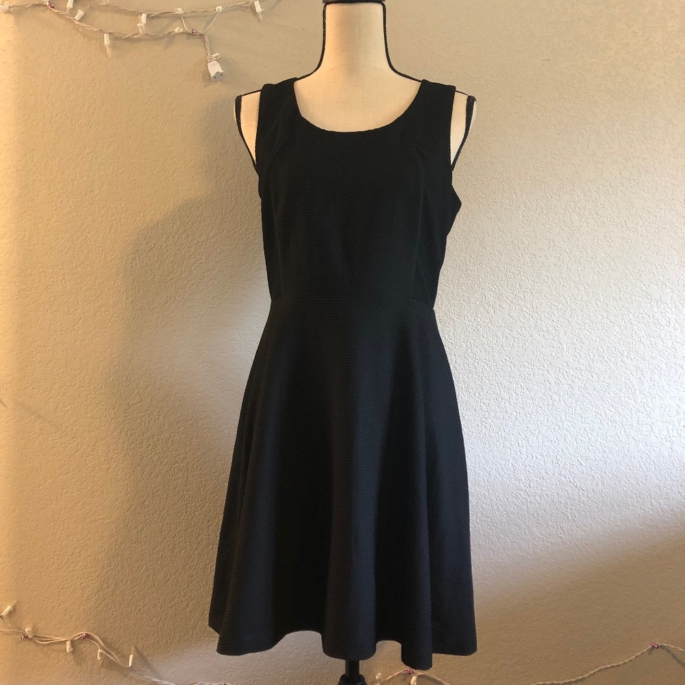 Express Women's Dress Work ALine Formal Dress New
